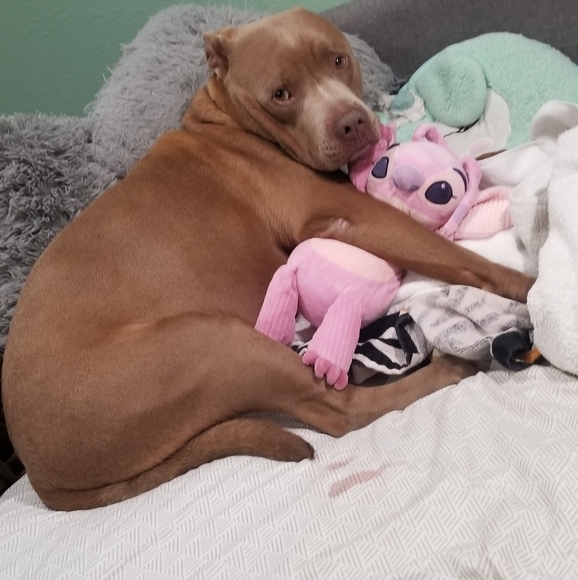 Meet your Posher, Nev - Picture 3 of 6